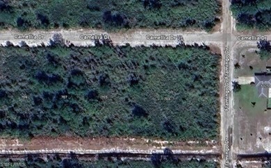 (private lake, pond, creek) Lot For Sale in Indian Lake Estates Florida