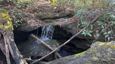 Lake Lot For Sale in Lake Lure, North Carolina