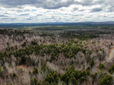 Lake Acreage For Sale in Lakeville, Maine