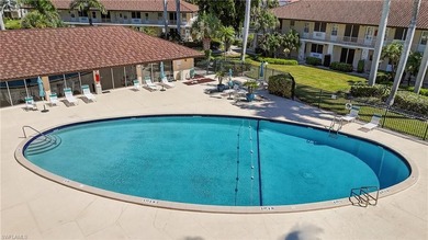 A great piece of paradise in Marco Island! Amazing opportunity - photo 13