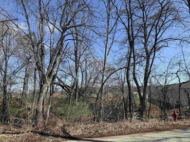 Build your vision in charming Pardeeville with this rare - photo 2