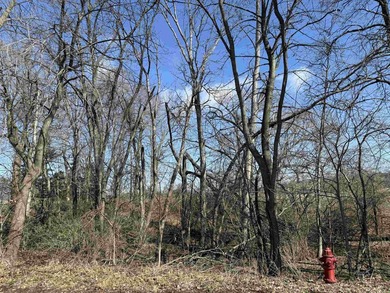 Build your vision in charming Pardeeville with this rare - photo 6