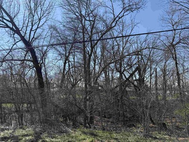 Build your vision in charming Pardeeville with this rare - photo 9