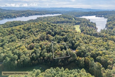 Perfectly positioned along the 18th fairway of Lake Toxaway's - photo 30