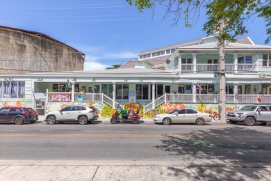 An exceptional opportunity to own one of Old Town Key West's - photo 3