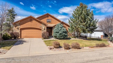 Enjoy the best of Western Colorado in this spacious 4,980 sq. ft - photo 45