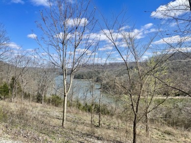  Spacious, buildable lake lot on Waterwalk Ct  - Lake Acreage For Sale in Smithville, Tennessee