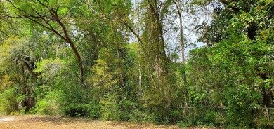 One of the last available lots on Live Oak Street in Choctaw - photo 8