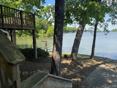 Location does matter! What a VIEW! This desirable POINT LOT - photo 56