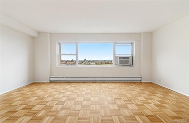 This high floor, 1-bedroom co-op apartment is move-in ready with - photo 4