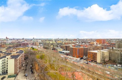 This high floor, 1-bedroom co-op apartment is move-in ready with - photo 6