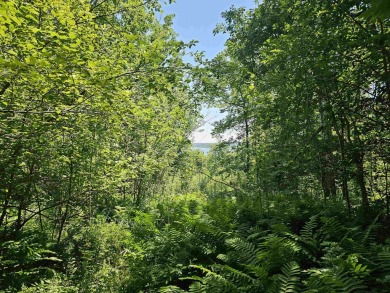 Lake Lot For Sale in Washburn, Wisconsin