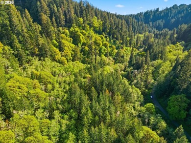 Own a piece of paradise on the upper North Fork River.Zoned F2 - photo 4