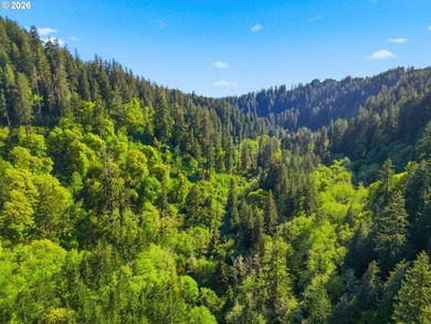Own a piece of paradise on the upper North Fork River.Zoned F2 - photo 6