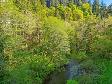 Own a piece of paradise on the upper North Fork River.Zoned F2 - photo 7
