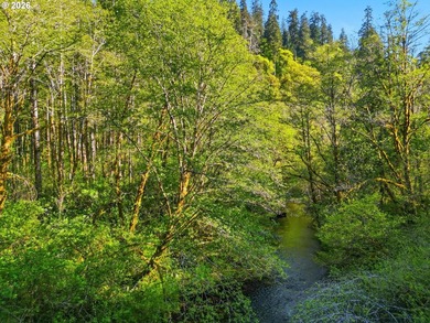 Own a piece of paradise on the upper North Fork River.Zoned F2 - photo 8