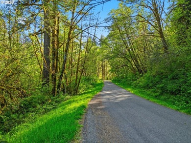 Own a piece of paradise on the upper North Fork River.Zoned F2 - photo 10