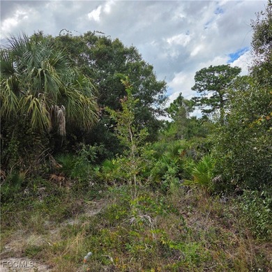 Lehigh Acres Area Lot For Sale in Lehigh Acres Florida