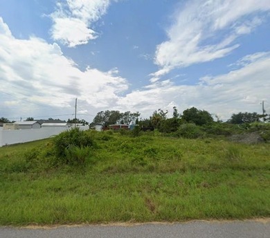 BUILD YOUR DREAM HOME with this OVERSIZED lot located in Peace - photo 3