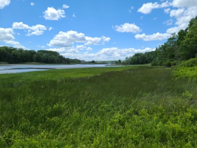 Mill Pond Acreage For Sale in Stockton Springs Maine