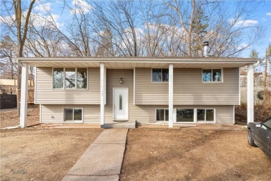 Lake Owasso Home For Sale in Roseville Minnesota