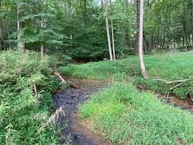 Coosawattee River - Gilmer County Acreage For Sale in Ellijay Georgia