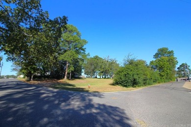 PRIME COMMERCIAL PROPERTY located just over the 70W bridge - photo 28