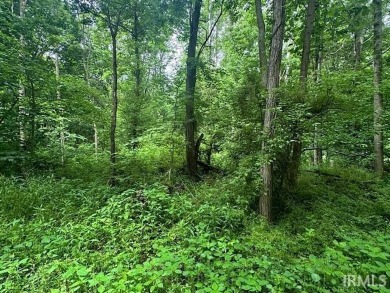 Amazon Lake Lot For Sale in Spencer Indiana