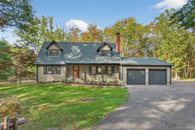 Lake Home For Sale in High Falls, New York