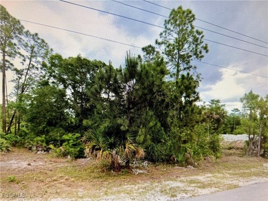 Lehigh Acres Area Lot For Sale in Lehigh Acres Florida