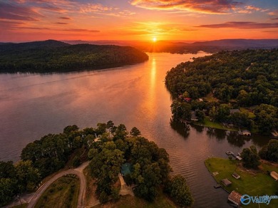 Experience waterfront living on Neely Henry Lake in sought-after - photo 2