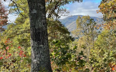 BEAUTIFULLY WOODED LOT WITH BIG MOUNTAIN VIEWS IN THE MOUNTAINS - Lake Lot For Sale in Young Harris, Georgia