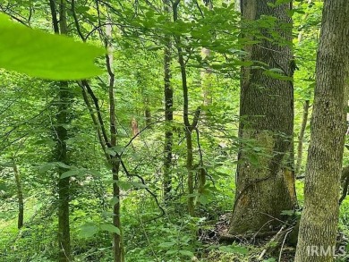 Amazon Lake Lot For Sale in Spencer Indiana