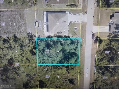 Lehigh Acres Area Lot For Sale in Lehigh Acres Florida