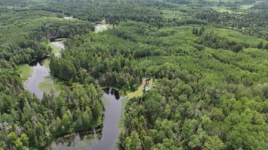 Looking for privacy, look no further. This 40-acre boat/ATV - photo 10