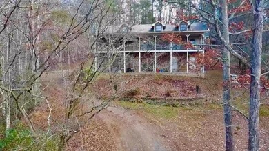 (private lake, pond, coastal) Home For Sale in Mineral Bluff Georgia