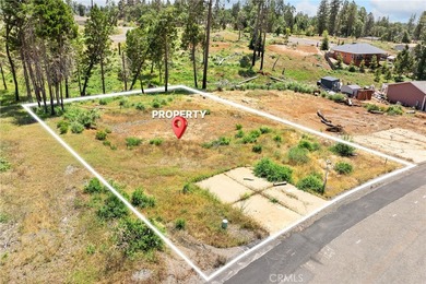 Magalia Lake  Lot For Sale in Magalia California
