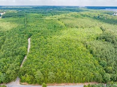 This property with available waterfront is Lake Gaston's best - photo 11