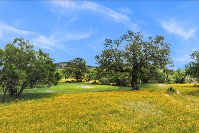 Known by the locals as the 4S Ranch for its tremendous dove - photo 15