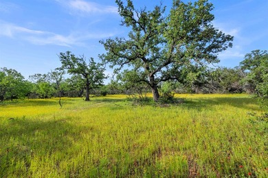 Known by the locals as the 4S Ranch for its tremendous dove - photo 19