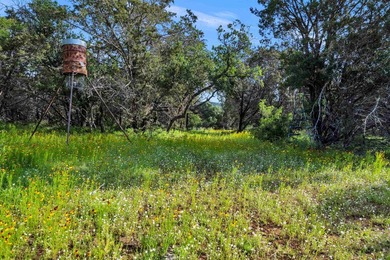 Known by the locals as the 4S Ranch for its tremendous dove - photo 20