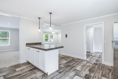 Brand new construction on nearly half an acre in Spring City - photo 20