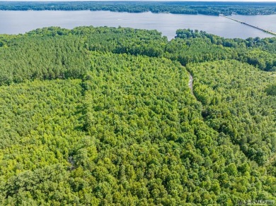 This property with available waterfront is Lake Gaston's best - photo 20