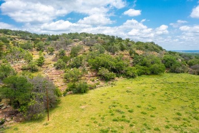Known by the locals as the 4S Ranch for its tremendous dove - photo 29