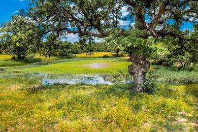 Known by the locals as the 4S Ranch for its tremendous dove - photo 30