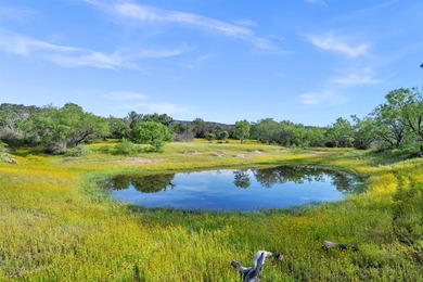 Known by the locals as the 4S Ranch for its tremendous dove - photo 31