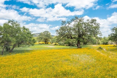 Known by the locals as the 4S Ranch for its tremendous dove - photo 32