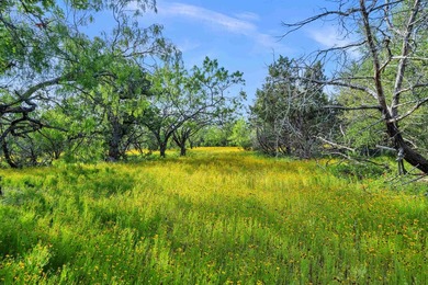Known by the locals as the 4S Ranch for its tremendous dove - photo 33