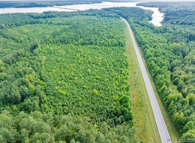 This property with available waterfront is Lake Gaston's best - photo 38
