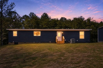 Brand new construction on nearly half an acre in Spring City - photo 45